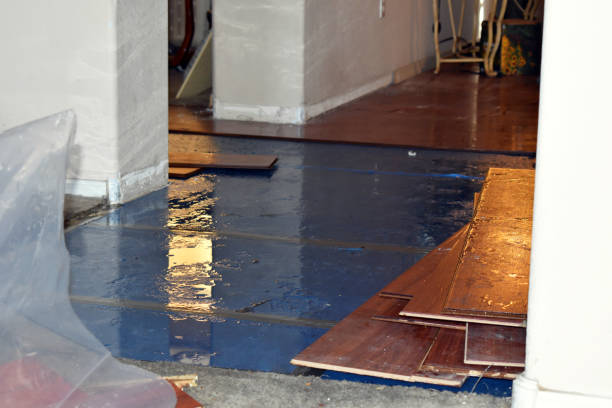 Professional Burst Pipe Cleanup technician working in Easton, PA