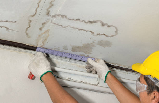 Reliable Burst Pipe Cleanup contractor in Easton, PA by Water Damage Irwin
